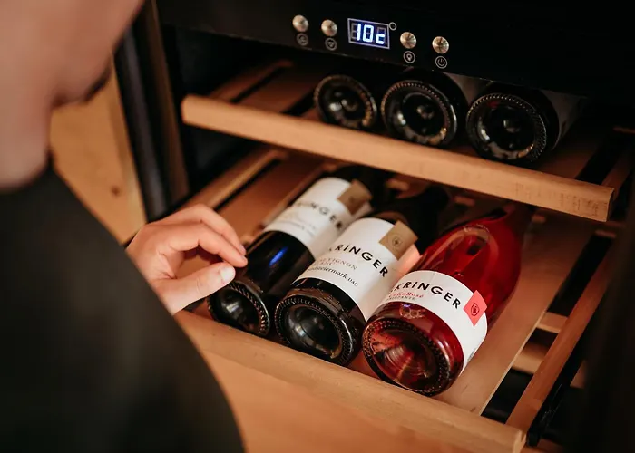 Weingut & Winzerhaeuser Skringer
