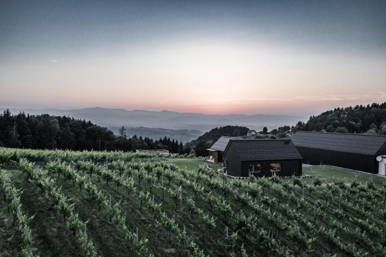 Weingut & Winzerhaeuser Skringer Holiday home Leutschach