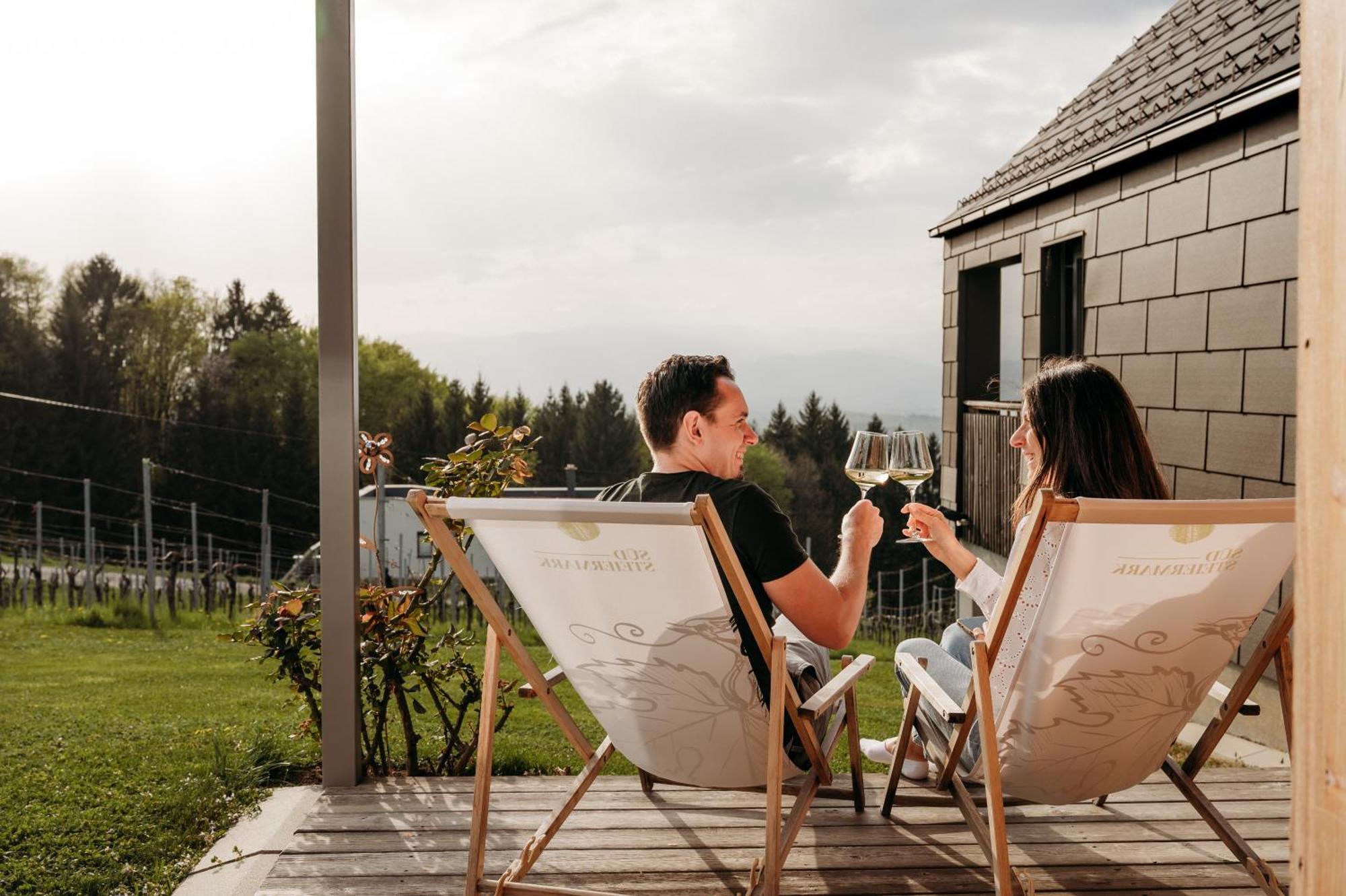 Weingut & Winzerhaeuser Skringer Holiday home *