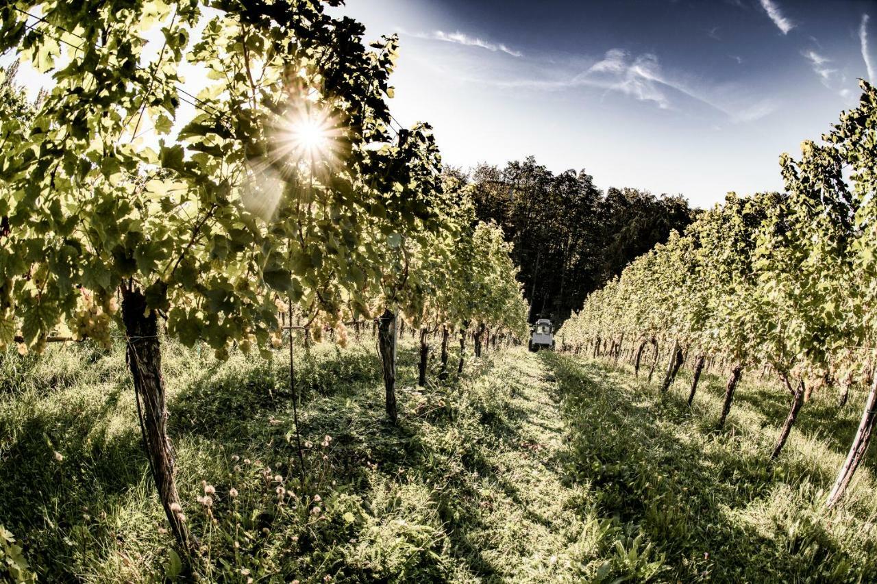 Weingut & Winzerhaeuser Skringer Holiday home Leutschach