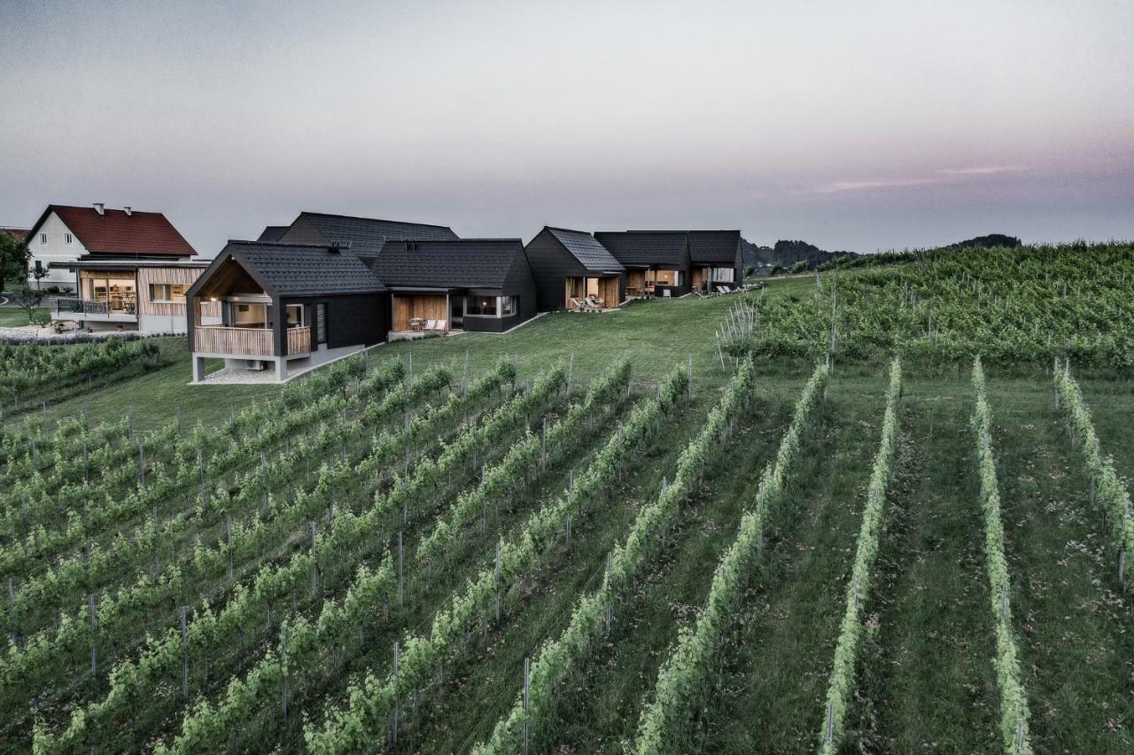 Holiday home Weingut & Winzerhaeuser Skringer *
